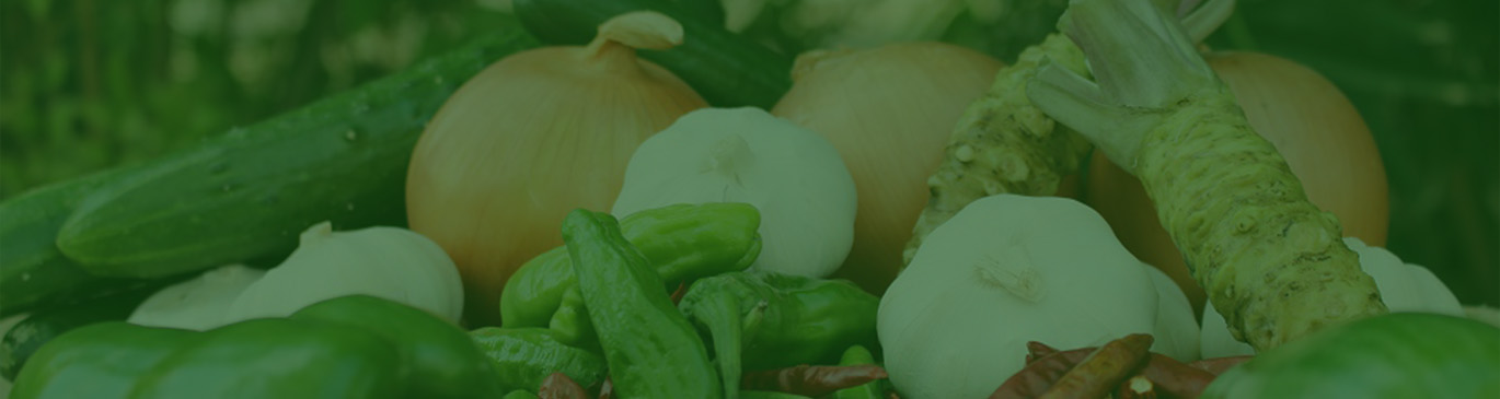 Service-banner-image