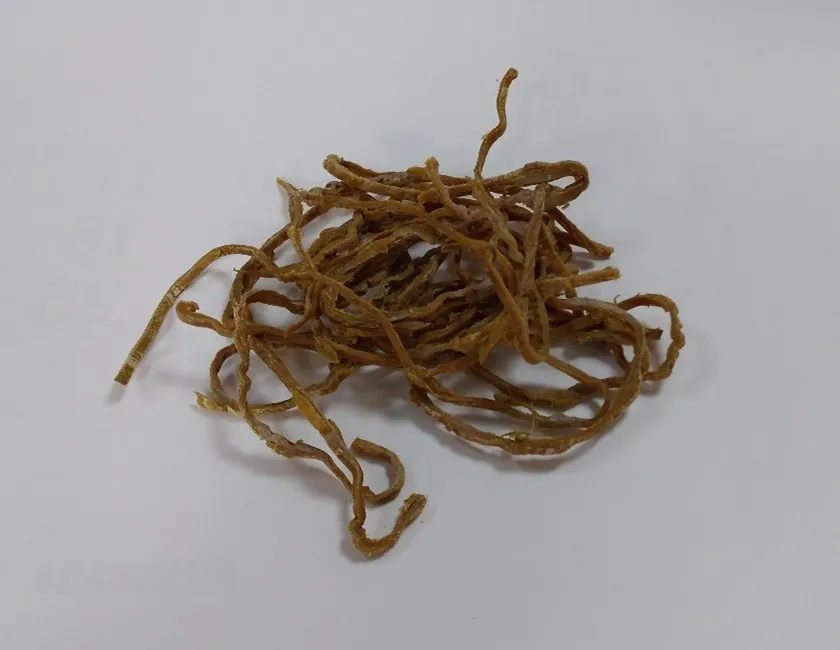 穂先メンマ　横切り